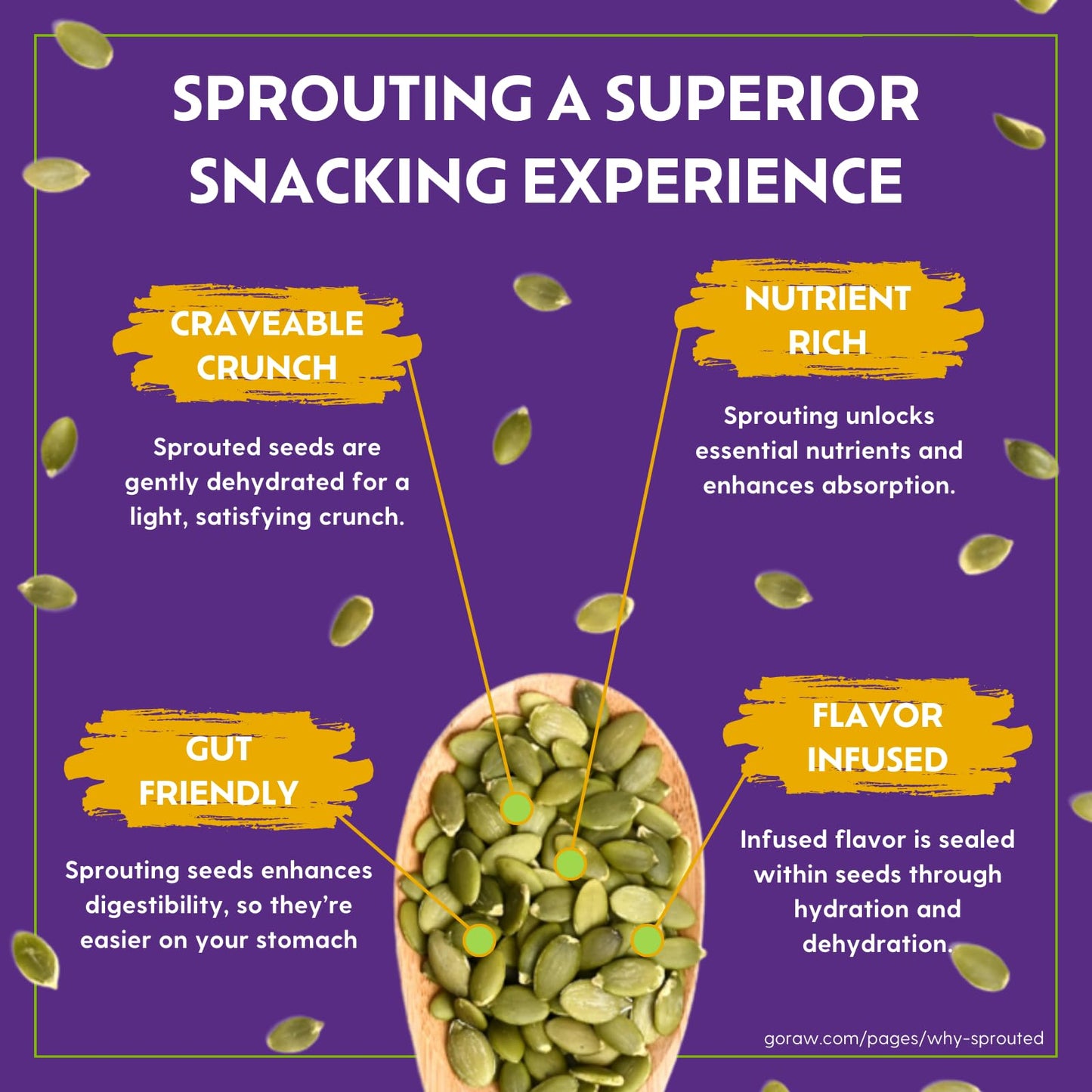 Go Raw Organic Sprouted Everything Bagel Snacking Seeds, 4 Oz, 6 Pack, Pumpkin & Sunflower Seeds, Keto, Kosher