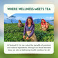 Tea Leaf & Co. Turmeric Tulsi Green Tea Loose Leaf - 50 Servings, Low Caffeine, Gluten Free (3.52oz/100gm)