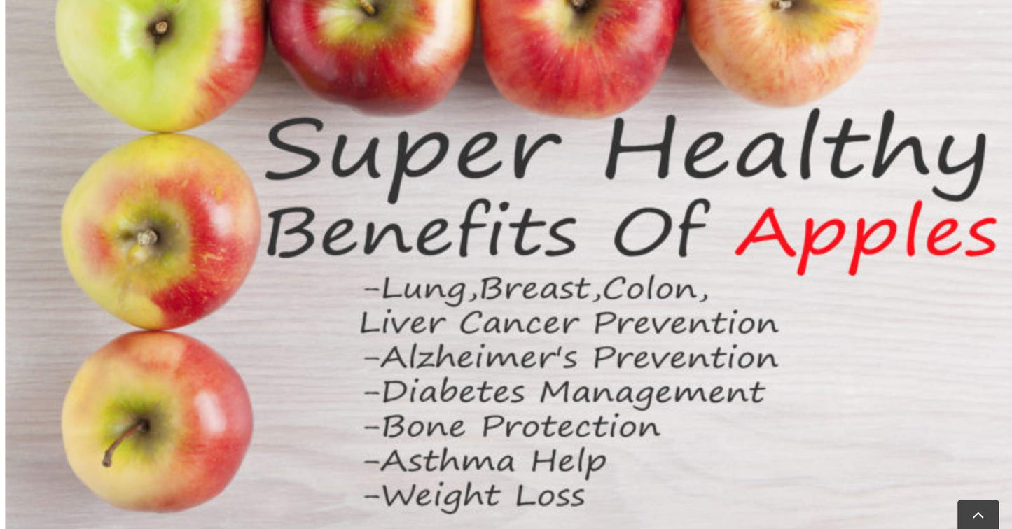 North Coast Organic Honeycrisp Apple Sauce, 24 Ounce (Pack Of 6)