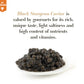Kaspian Collection - Premium Osetra Sturgeon Black Caviar - 3.5 Oz / 100 G - Premium Black Caviar With Cl