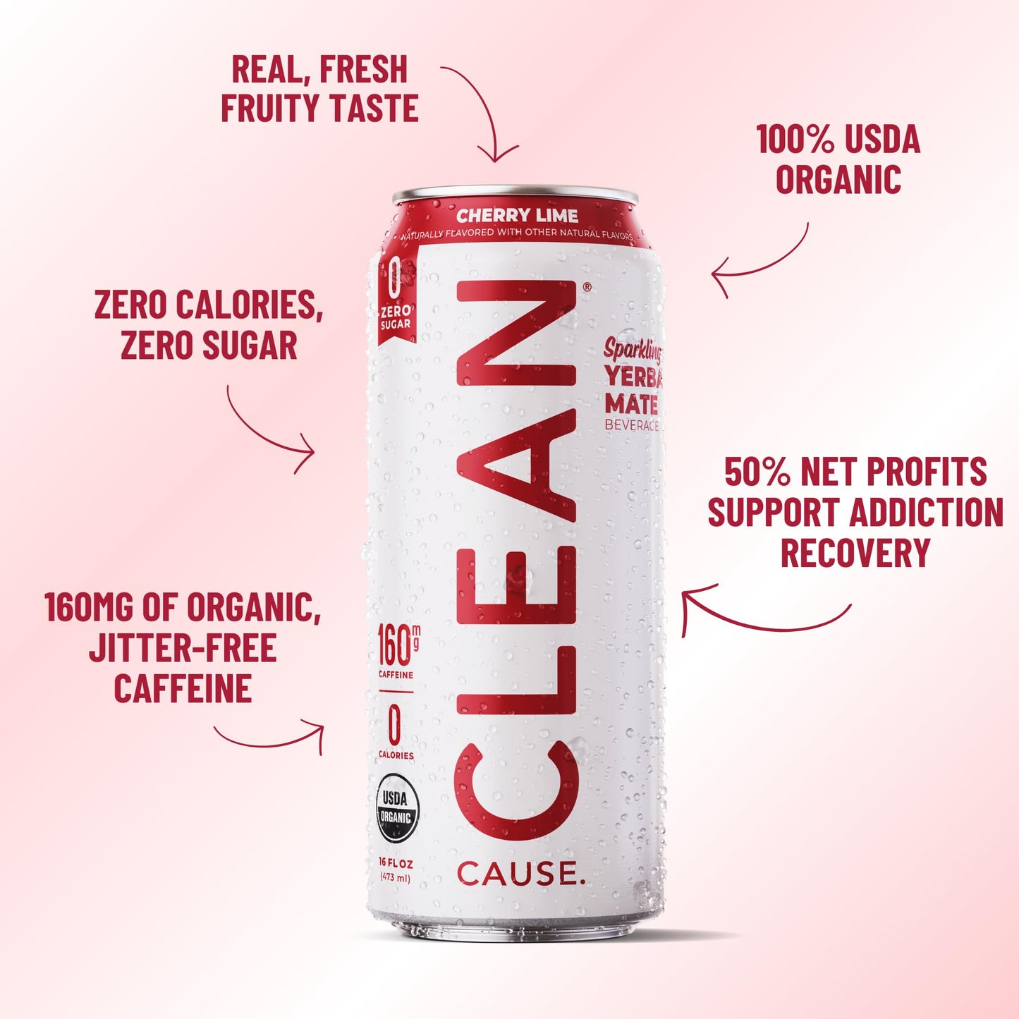 CLEAN CAUSE Yerba Mate Tea Sparkling Variety Pack, USDA Organic, Zero Sugar, 160mg Caffeine, 16oz Cans, 12-Pack, Assorted