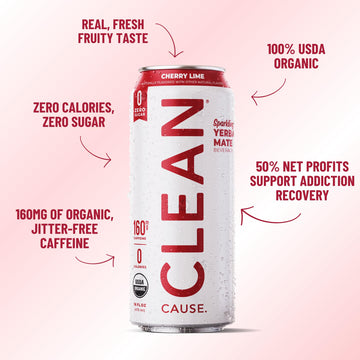 CLEAN CAUSE Yerba Mate Tea Sparkling Variety Pack, USDA Organic, Zero Sugar, 160mg Caffeine, 16oz Cans, 12-Pack, Assorted