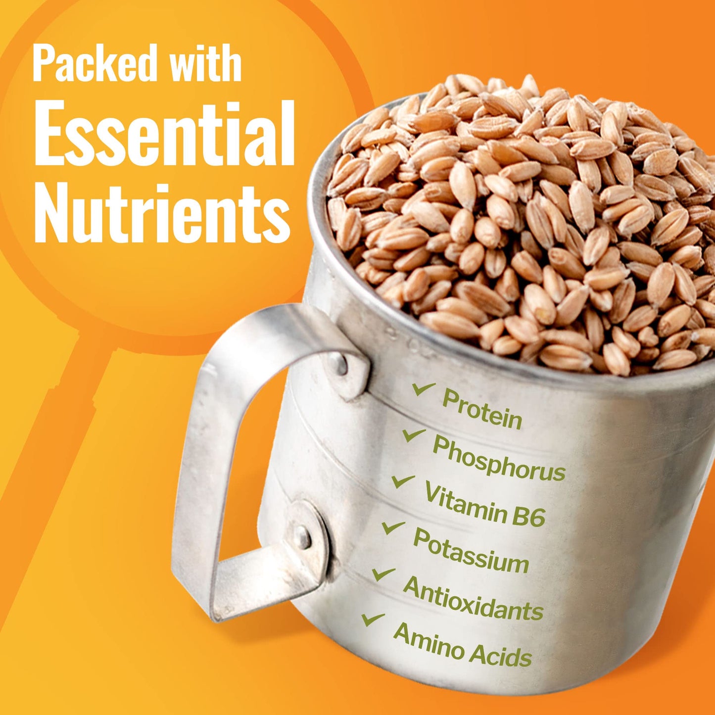 Grand Teton Ancient Grains - 100% Organic Spelt Berries, Whole Unmilled Spelt Berries, Us-Grown Farro Organic Grain, Nutritious