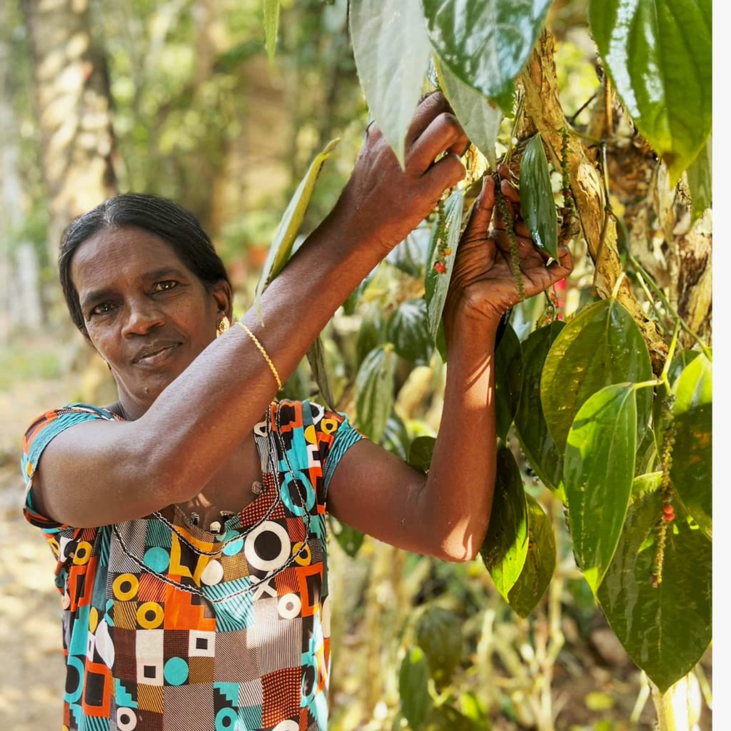 Black Pepper Whole 1Lb (454G), Sri Lankan Small Estate Grown, High In Piperine For Strong Flavor.