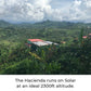 Kilo Coffee - 1 Kilogram Adaptogenic Mushroom Coffee. Whole Fruiting Body: Lions Mane, Chaga, Reishi, Cordyceps. Single Origin f