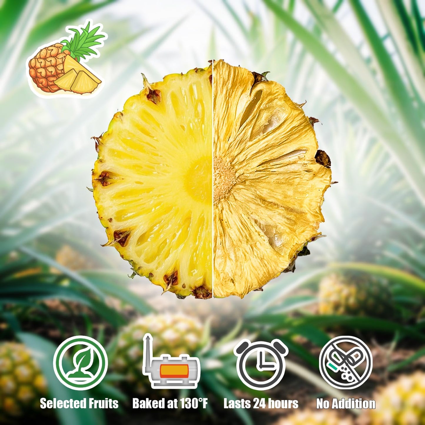 KachiKachi Dried Pineapple Slices - All Natural, No Sugar, 7oz | 200g