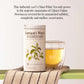 The Republic Of Tea Emperor'S 100% White Tea, Zero Calorie, Sugar-Free, Carb-Free, 50 Tea Bag Tin