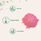 Organic Strawberry Powder, 1 Lb | 100% Natural Fruit Powder | Freeze-Dried Strawberries Source | No Sugar & Additives | Great Fl
