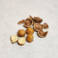Hazelnuts In Shell Grown In Our Family'S Orchard In Washington State (Roasted, 8 Pound)
