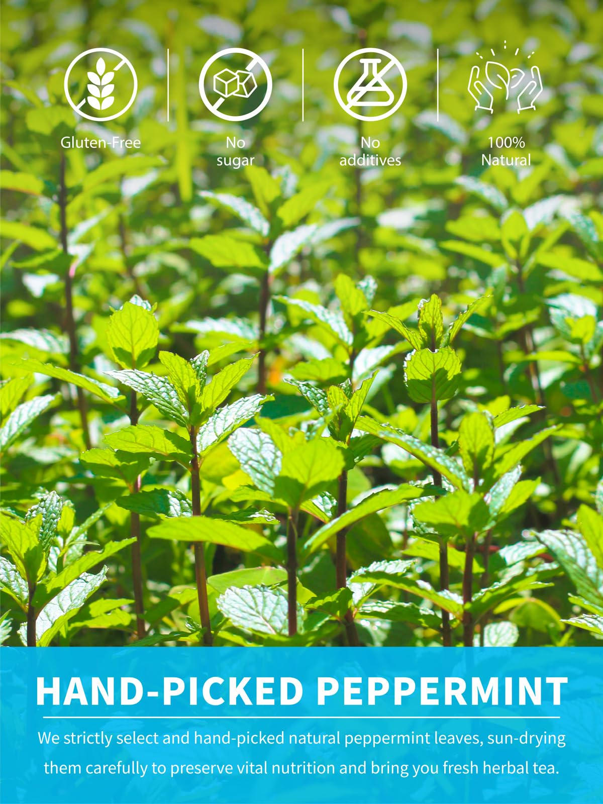 TeeLux Peppermint Tea Bags, Caffeine Free Herbal Tea, Refreshing Mint, 100 Count