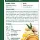 Traditional Medicinals Organic Lemon Ginger Tea, 16 Count (Pack Of 4) - Total 64 Tea Bags