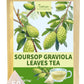 TeeLux Soursop Graviola Leaf Tea Bags, Caffeine Free, Mild & Smooth Taste, 50 Count