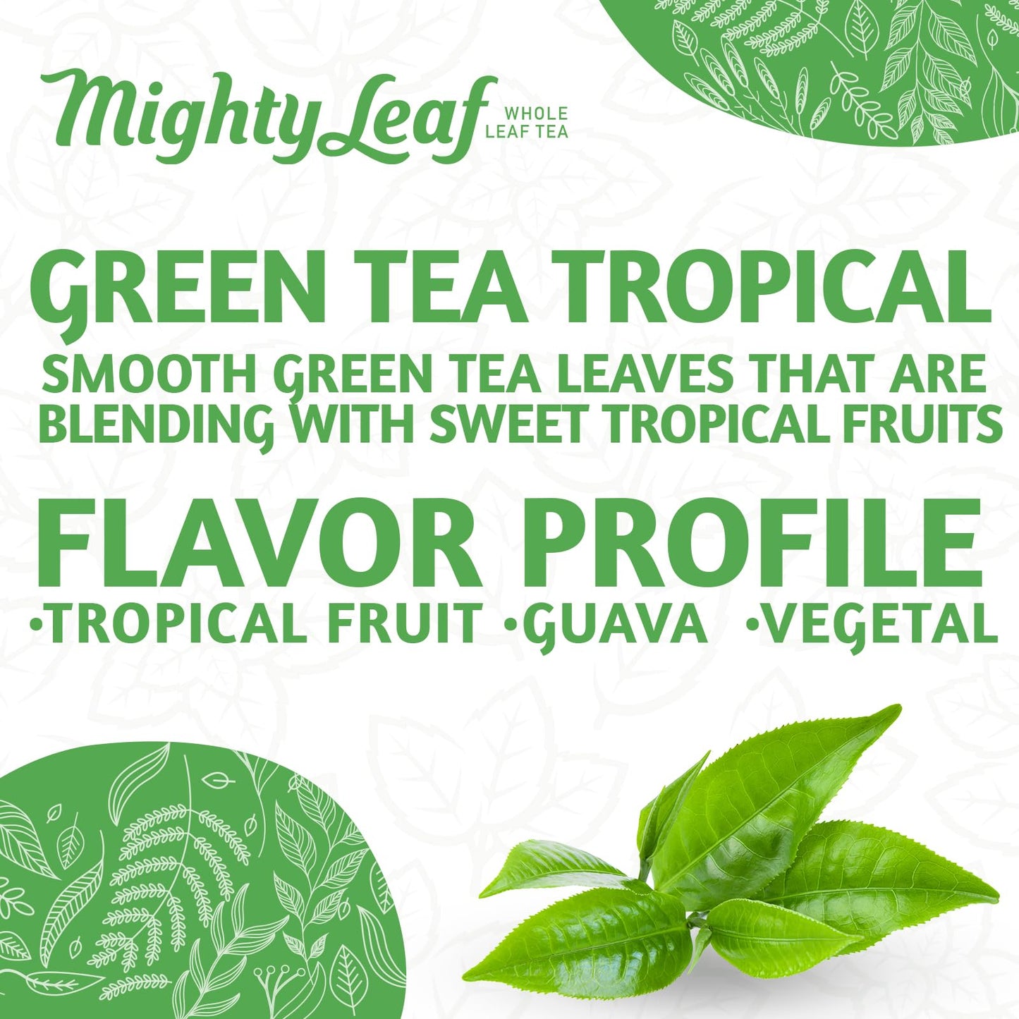 Mighty Leaf Green Tea Tropical 100 Count - Premium Loose Leaf Tea, Refreshing Flavor