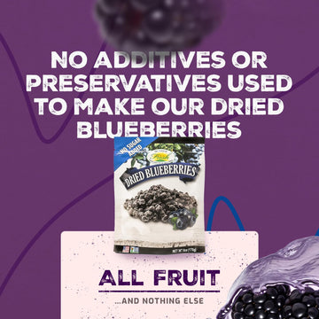 Sunrise Fresh Dried Blueberries, 6Oz Bag - No Sugar Added, Dehydrated Fruit For Baking, Healthy Snack