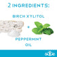 Peppermint Keto Xylitol Candy Chips (6-Pack) - Sn 1.5Oz Tin - Sugar-Free Candy With Only 2 Ingredients | Low Carbs, Diabetic-Fri