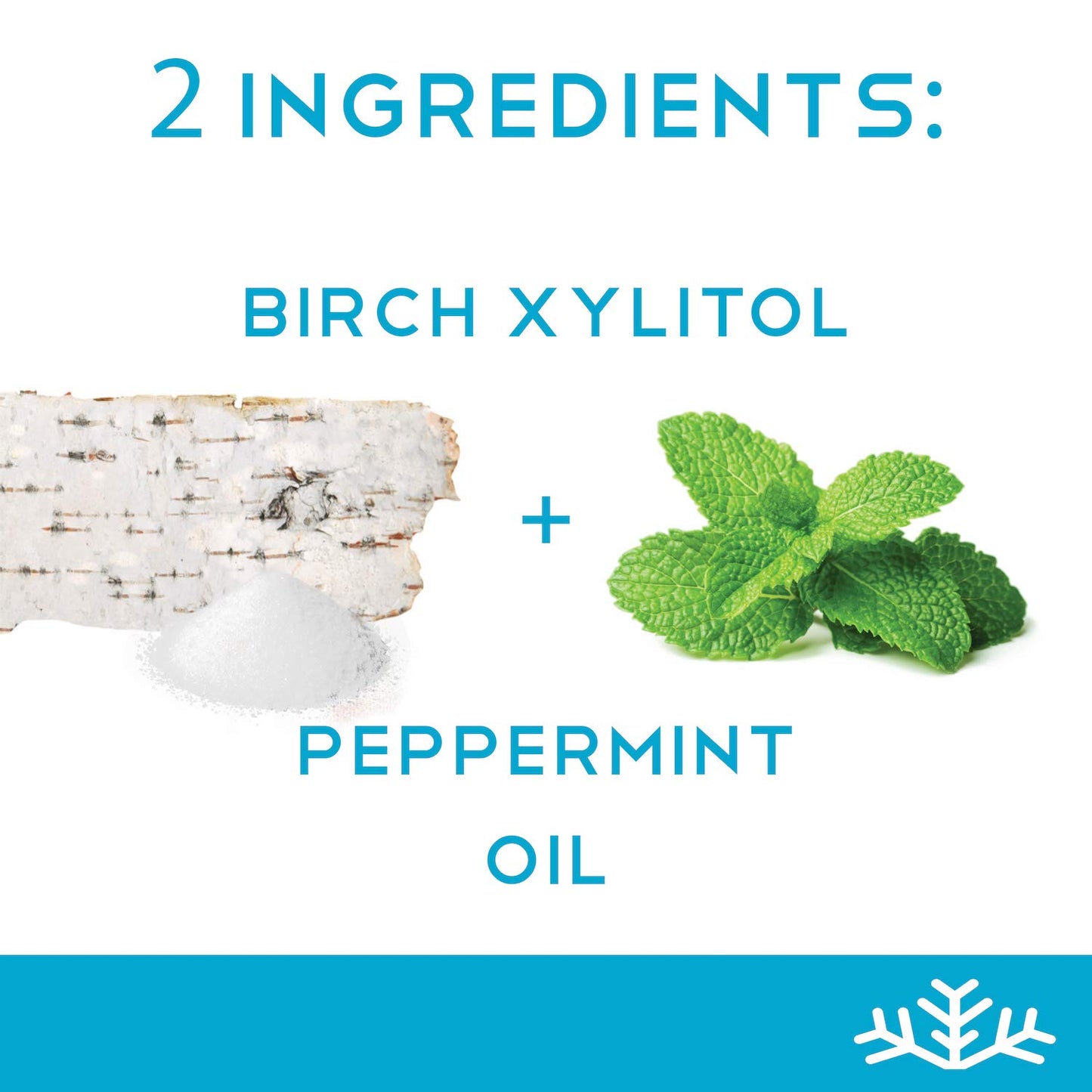 Mint Assortment Keto Xylitol Candy Chips (6-Pack) - Sn 1.5Oz Tin - Sugar-Free Candy With Only 2 Ingredients | Low Carbs, Diabeti
