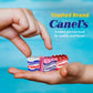 Canels 4-Piece Gum Pack Display in Original Flavors - Peppermint  Spearmint  Cinnamon  Fruit  Blueberry  Violet  and Menthol  240 Count