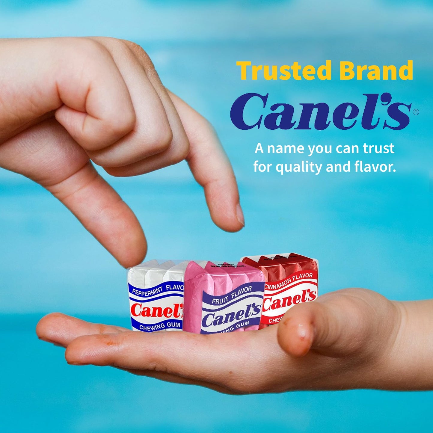 Canels 4-Piece Gum Pack Display in Original Flavors - Peppermint  Spearmint  Cinnamon  Fruit  Blueberry  Violet  and Menthol  240 Count