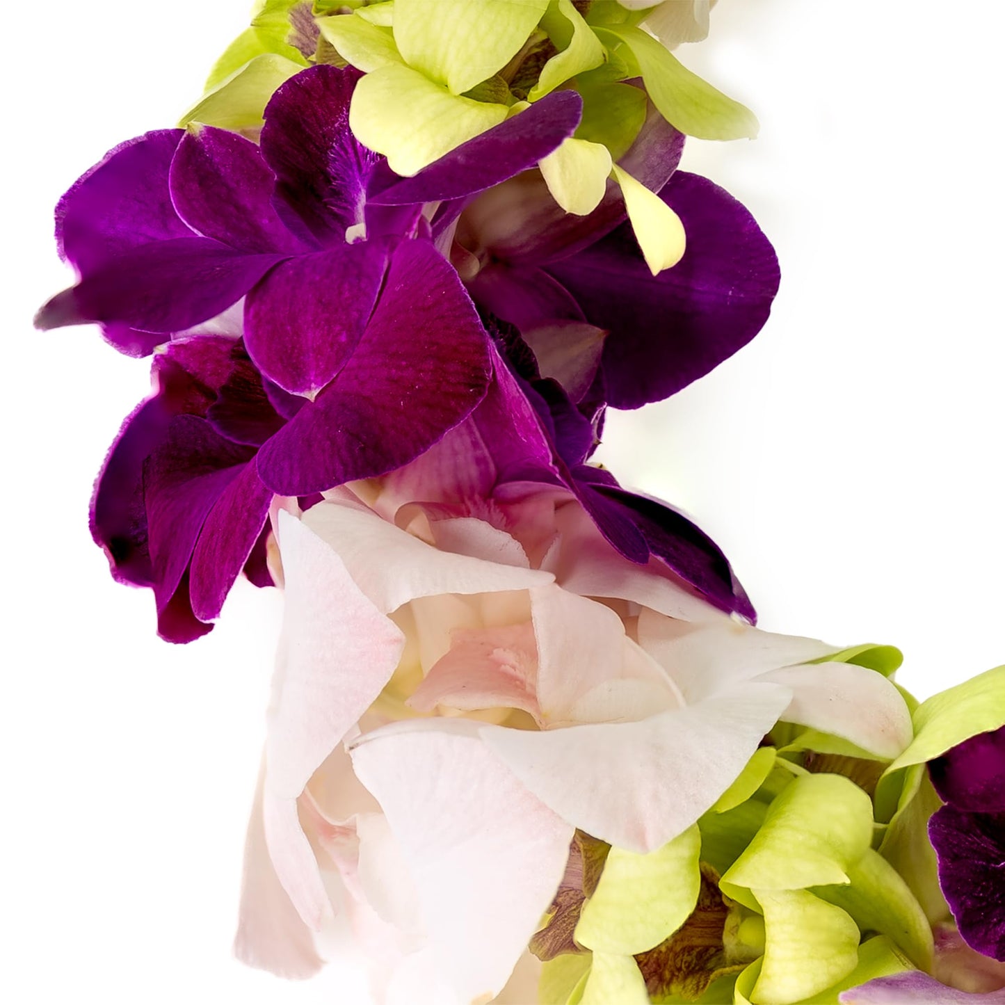 Generic Graduation Leis, Fresh Cut Orchids Flower Leis, Long-Lasting Double Leis Made Of Fresh Cut Purple, Pink And Green Orchid