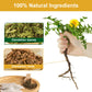 iMATCHME Dandelion Leaf & Root Tea, Caffeine Free, 40 Bags, 80g, Digestion and Immune Support