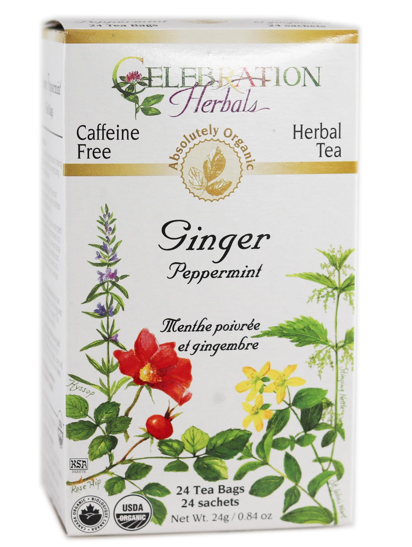 Celebration Herbals Ginger Peppermint Tea - 24 Count (Pack of 1)