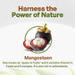 Go Nutra Mangosteen Powder, Antioxidant-Rich Superfood, 16 Ounce, Non-GMO, Vegan