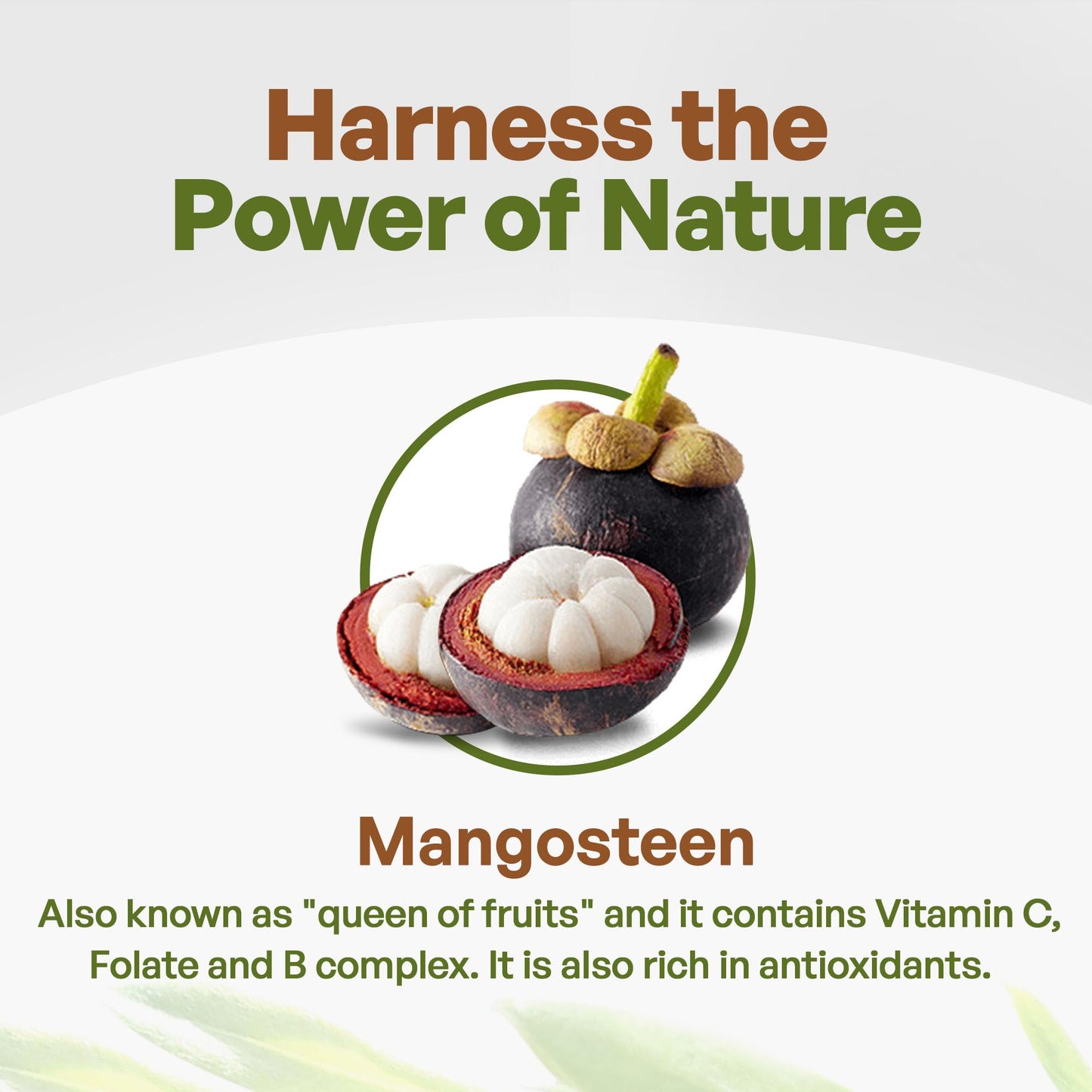 Go Nutra Mangosteen Powder, Antioxidant-Rich Superfood, 16 Ounce, Non-GMO, Vegan