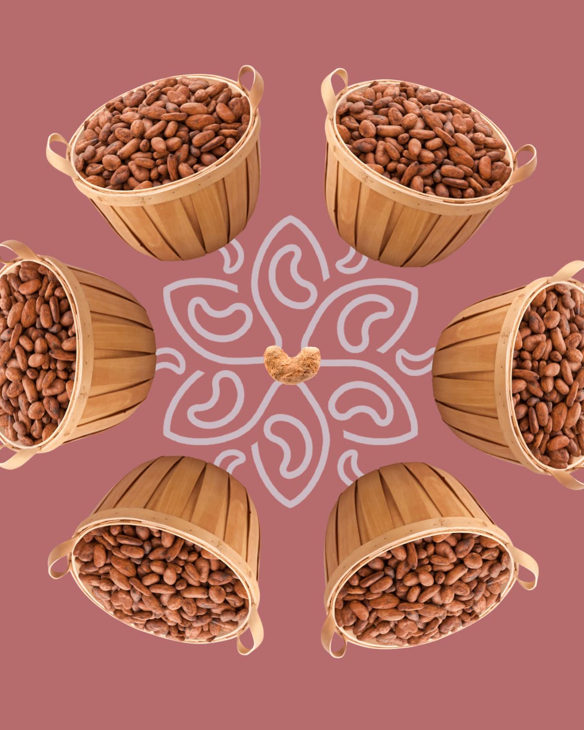 Cocoa Dusted Wrapped Whole Cashews by Karma Nuts, Lightly Sweetened, Air Roasted with Natural Skins, 2X more Fiber, Peanut-Free