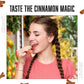 Stewart Old Fashioned Hot Cinnamon Candy Puffs | Red Cinnamon Candies Individually Wrapped Candy | Pure Cane Sugar Candy | Fat-F