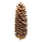 Vickerman 9.5-10 Sugar Pinecone 7/Pack. Includes Seven Sugar pinecones per Bunch. Natural Product.