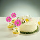 24Pcs Daisy Cupcake Toppers Flower Cake Topper Decorations Daisy Cake Decorations Chrysanthemum Cupcake Toppers Spring Daisy Flo