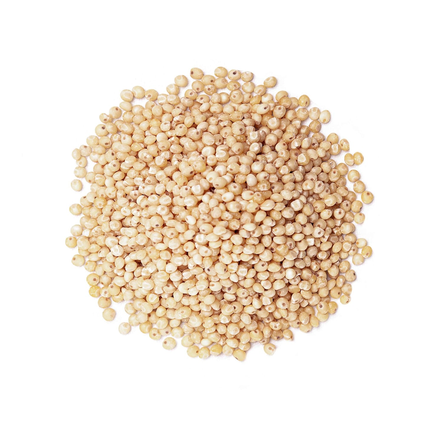 Food To Live Organic Whole Grain Sorghum, 6 Pounds – Non-Gmo White Groats. Raw Milo Seeds. Vegan, Bulk Broom-Corn. Durra Is Great For Making Flour And Popped Jowar Dhani
