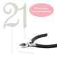Crystal Creations 21 Cake Topper - Premium Silver Metal with Sparkly Rhinestones - 1 Count
