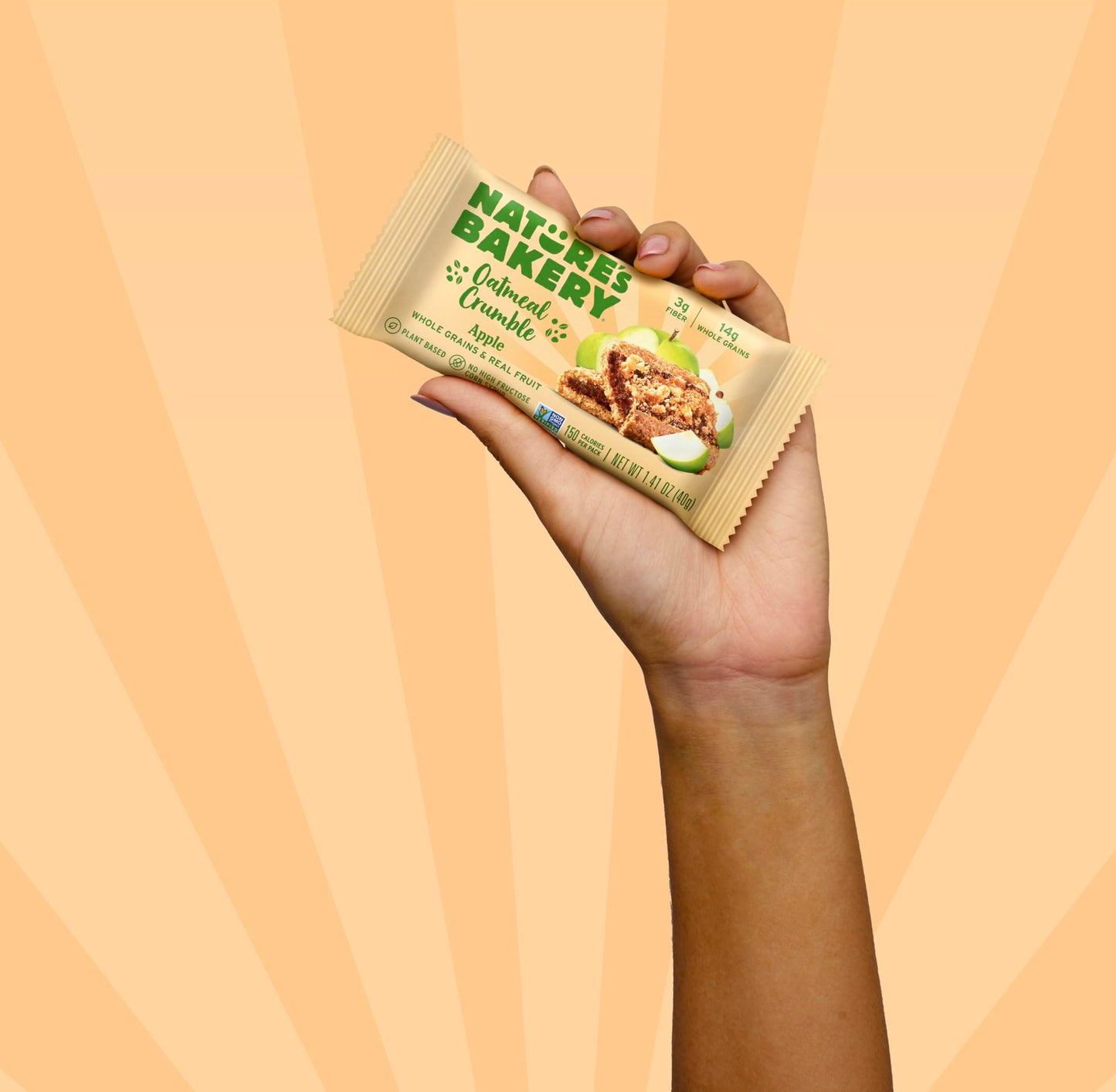 Natures Bakery Oatmeal Cspirit-inspired flavorble Bars, Apple, Vegan, Non-GMO, 12 Count (Pack of 7)