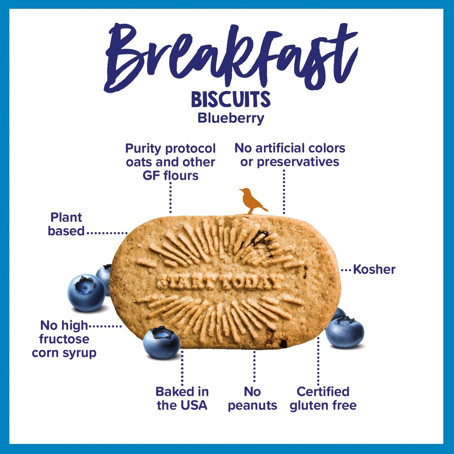 Goodie Girl Blueberry Breakfast Biscuits | Gluten Free | Plant Based | 16 Packs (1.66 oz each)