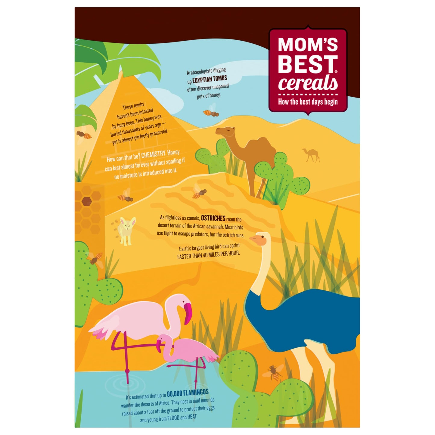 Moms Best Honey Grahams Breakfast Cereal, Honey Graham Cereal Made with Real Honey, No High-Fructose Corn Syrup, No Artificial