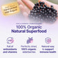 Certified USDA - 100% Organic Dried Elderberries - 1lb Bulk - Non-Irradiated  Non-Gmo  Whole Black Elderberry Immune Support For Making Elder Syrup  Gummies  Tea - Raw Vegan Sambucus 1 Pound