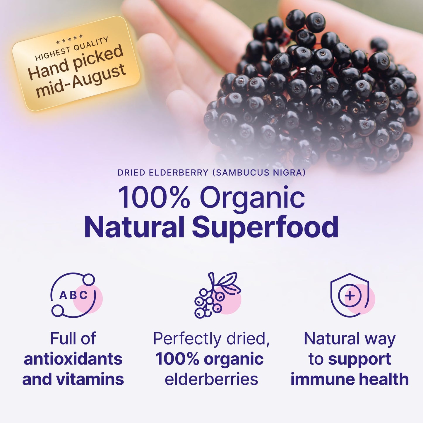 Certified USDA - 100% Organic Dried Elderberries - 1lb Bulk - Non-Irradiated  Non-Gmo  Whole Black Elderberry Immune Support For Making Elder Syrup  Gummies  Tea - Raw Vegan Sambucus 1 Pound