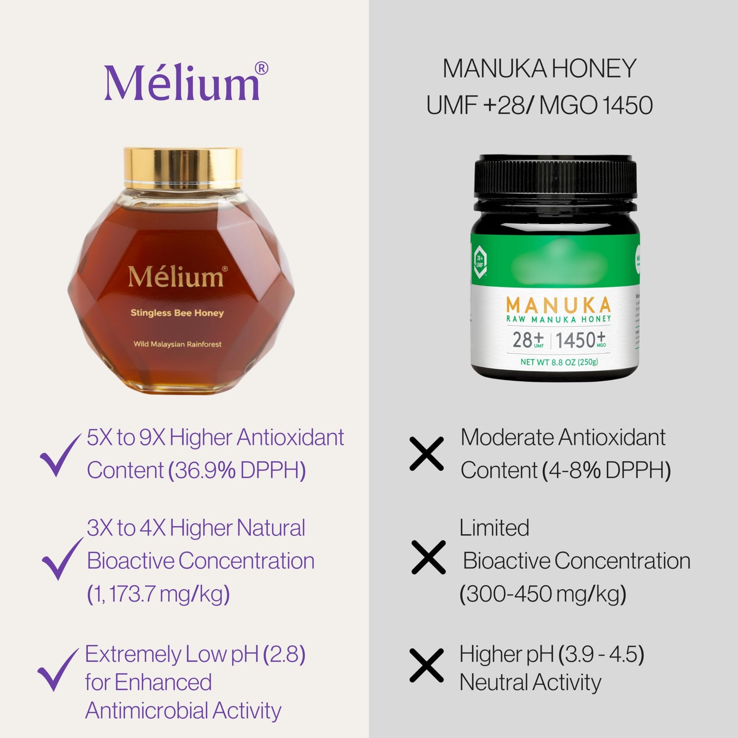 M?lium Stingless Bee Honey 8.8oz - Lab-Verified with 5? Higher Antioxidants vs Manuka Honey Medical Grade - Third-Party Tested  Pure  Naturally Low-GI & Sucrose Free