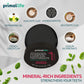 Primal Life Organics -Dirty Mouth Toothpowder, Activated Charcoal Tooth Cleaning Powder, Essential Oils, Hydroxyapatite, Kaolin,