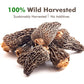 VIGOROUS MOUNTAINS enhanced Dried Wild Morel Mushrooms  Wild Harvested  2oz Earthy Flavor & Rich Umami-Perfect for Gourmet Cooking  Soups  Pasta & Risotto (56.7g)