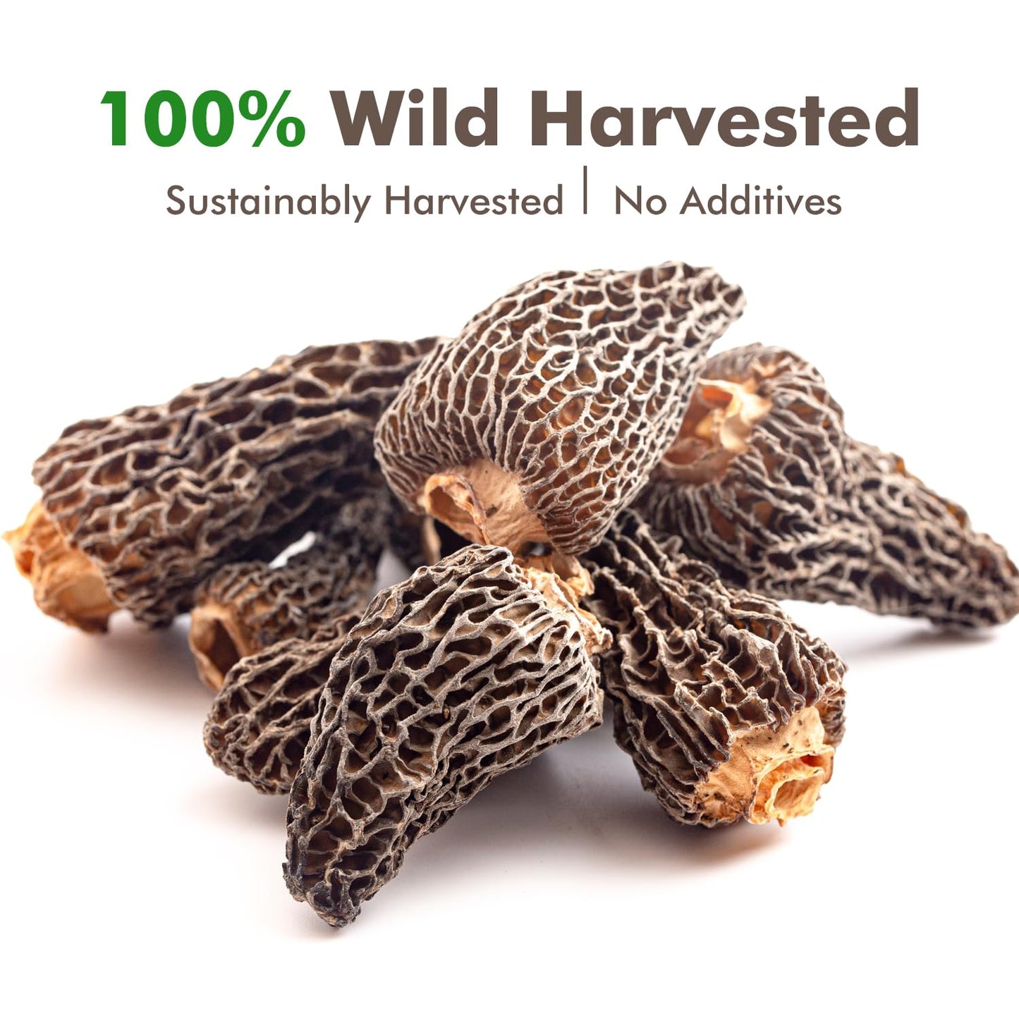 VIGOROUS MOUNTAINS enhanced Dried Wild Morel Mushrooms  Wild Harvested  2oz Earthy Flavor & Rich Umami-Perfect for Gourmet Cooking  Soups  Pasta & Risotto (56.7g)