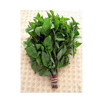Thai Sweet Basil Fresh 1/2 Lb ( 8 Oz.)