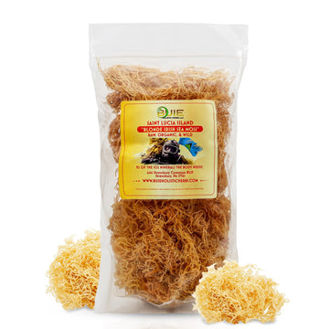 Buie Holistic Herbs Golden Irish Sea Moss, Pure Wildcrafted, Nutrient-Rich, Dr. Sebi Inspired - Makes 240+ Oz Gel | Pure & Natur