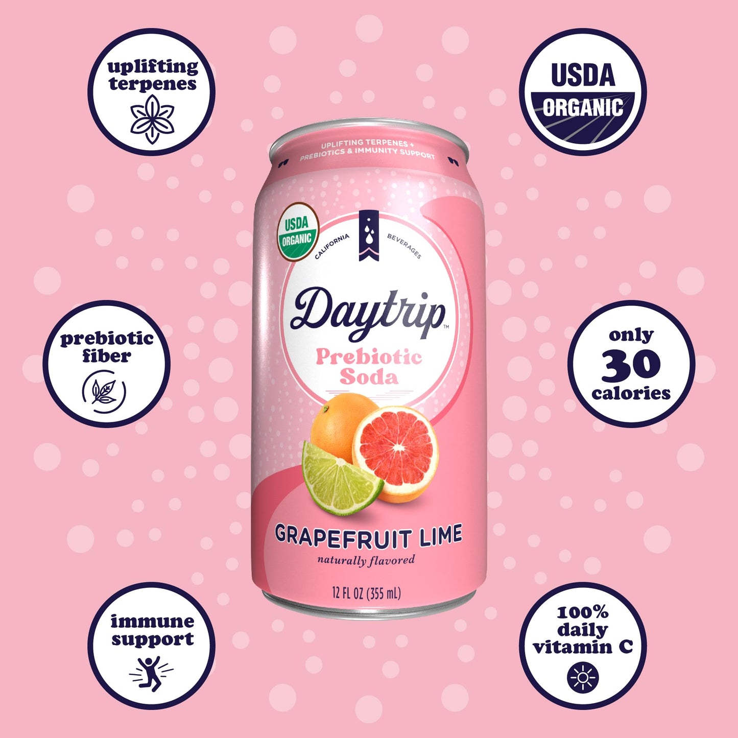 Daytrip Organic Sparkling Prebiotic Soda, Low Sugar, 12-Pack - G fruit