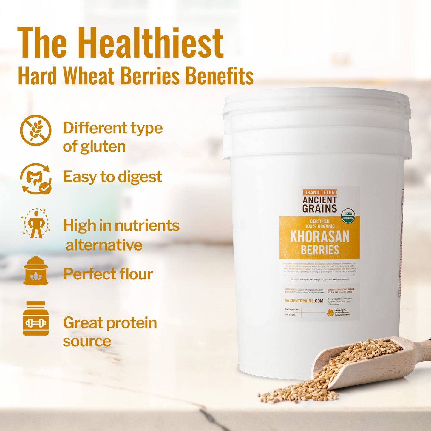 Grand Teton Organic Khorasan Wheat Berries, Premium Food-Grade, 43 lbs