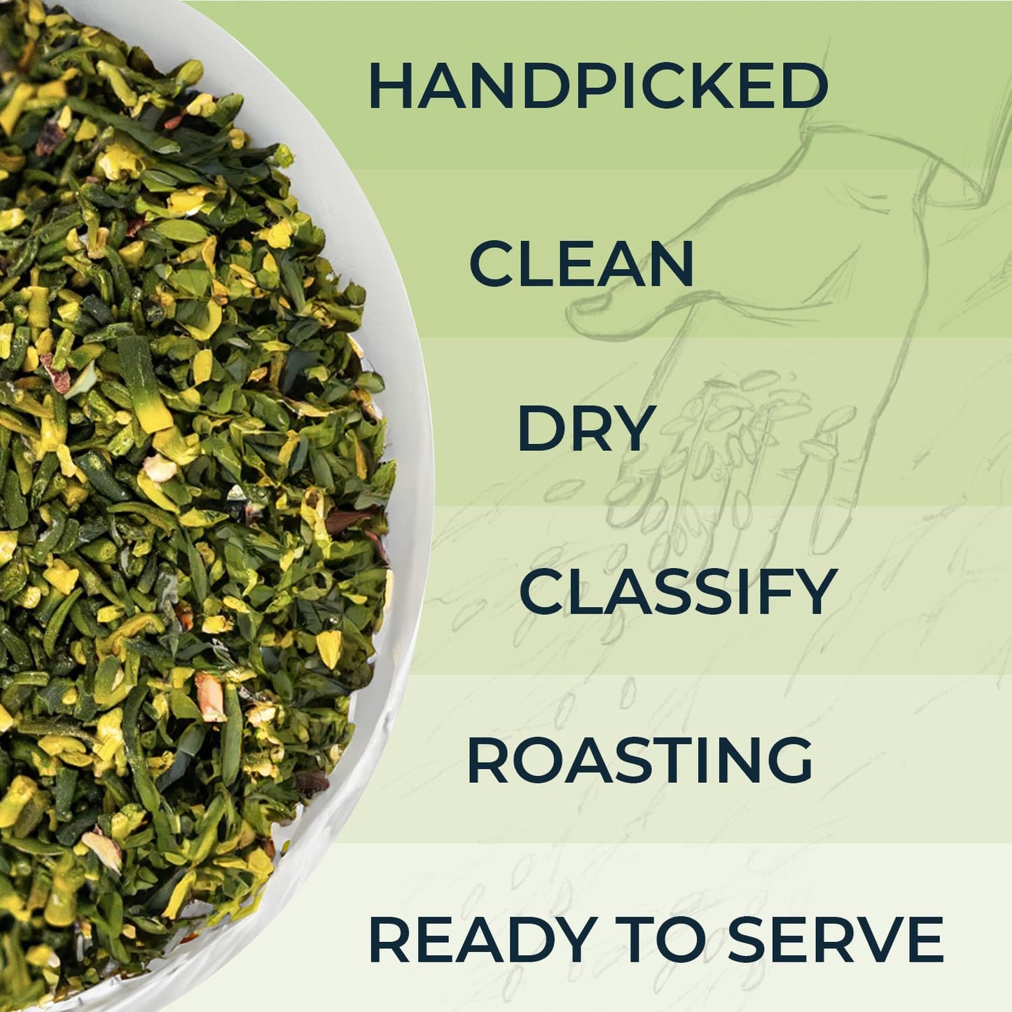 INJOY YOUR VITALGRI:N Dried Lotus Plumule Tea - Refreshing, No Additives, 2.82 Oz, Vacuum Sealed, Caffeine-Free, Vietnamese Roasted Lotus Seed