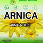BEXPERTSUSA Arnica Flor Herbal Tea Loose Leaf 4 oz - Caffeine-Free, Non-GMO, Vegan, Wildcrafted from Mexico with Stainless Steel Infuser