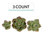 Global Sugar Art Succulents Parva Assortment Sugar Cake Flowers, 3 Count, Green Parva