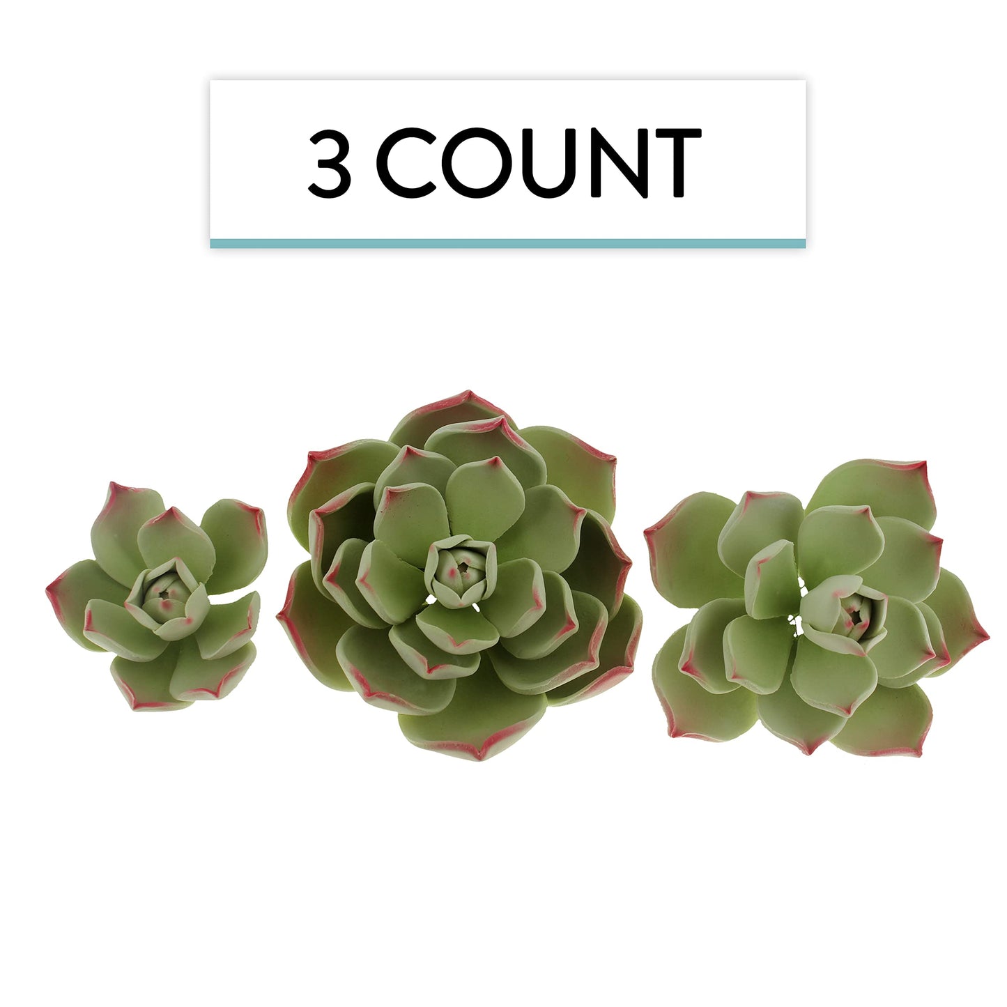 Global Sugar Art Succulents Parva Assortment Sugar Cake Flowers, 3 Count, Green Parva